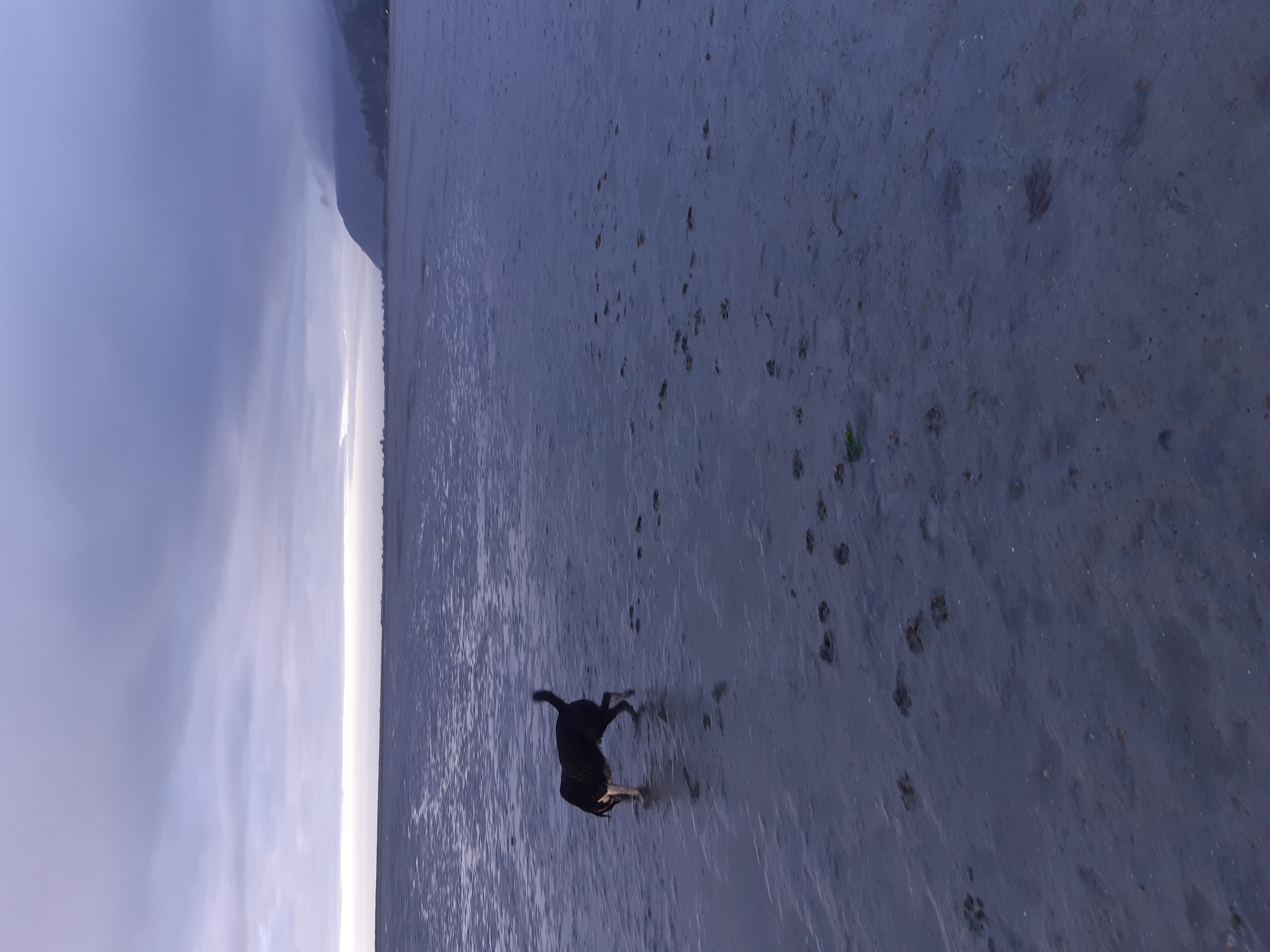 Name:  20210823_173034.jpg
Views: 242
Size:  3.74 MB