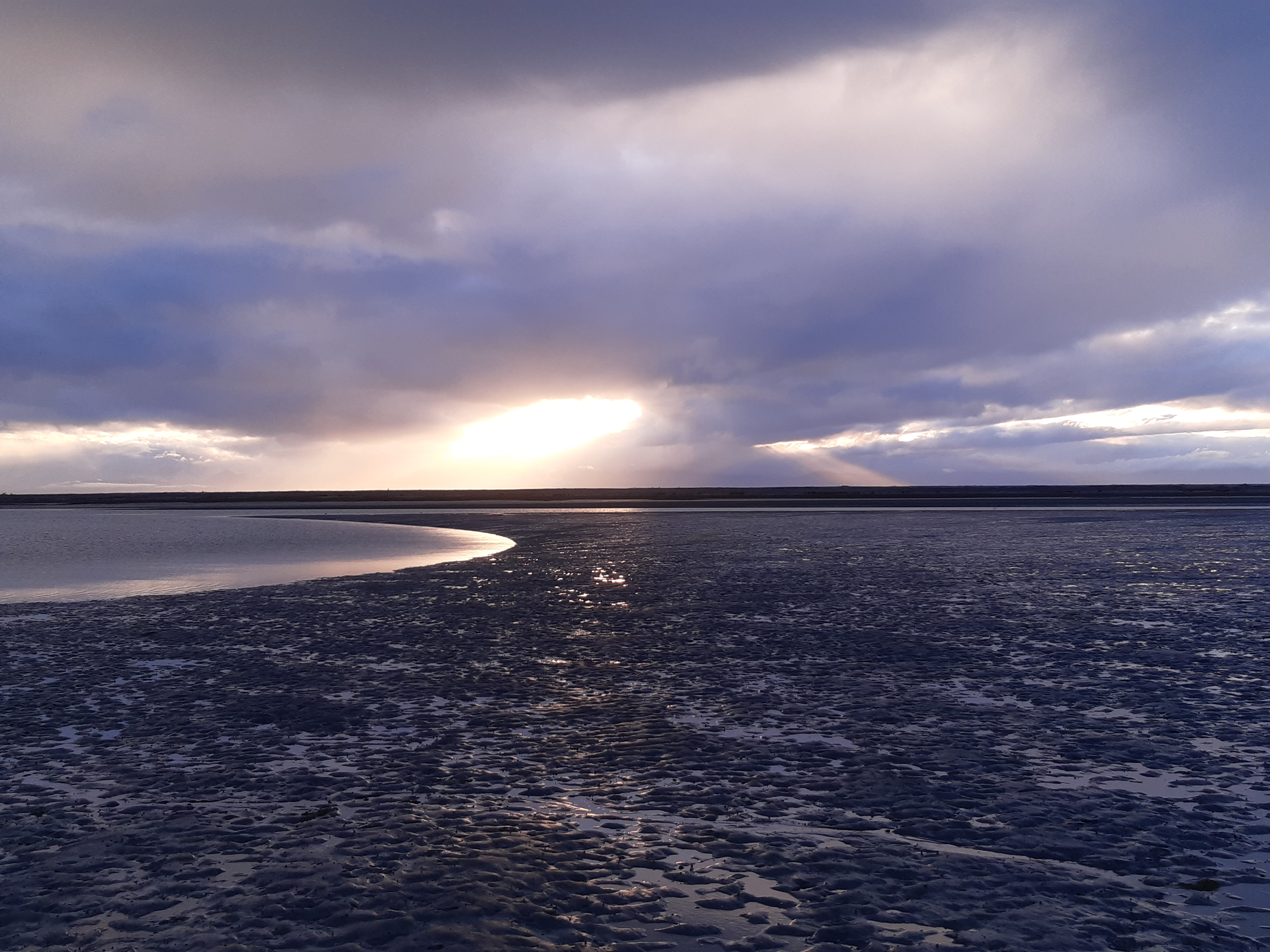 Name:  20210823_172501.jpg
Views: 237
Size:  3.18 MB