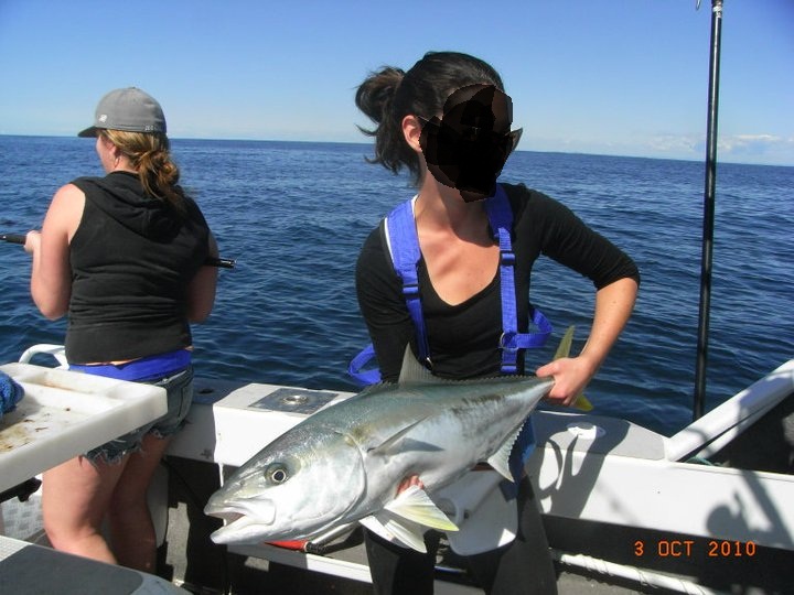 Name:  kingi 3.jpg
Views: 433
Size:  116.3 KB