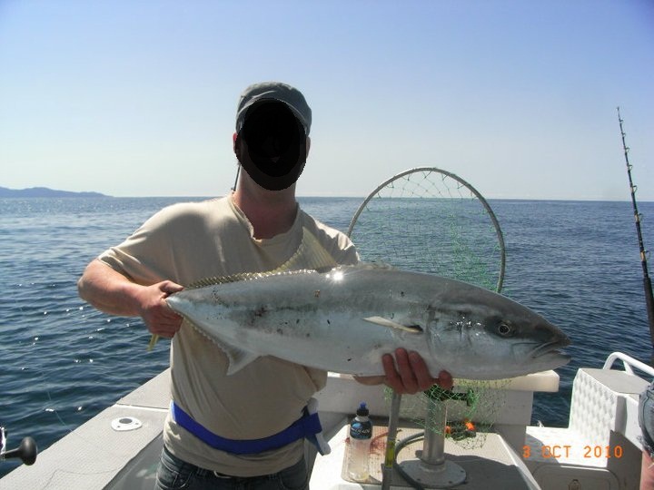 Name:  kingi 4.jpg
Views: 434
Size:  98.4 KB