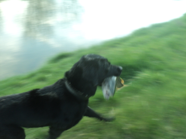 Name:  picture 01 4032.jpg
Views: 381
Size:  165.3 KB