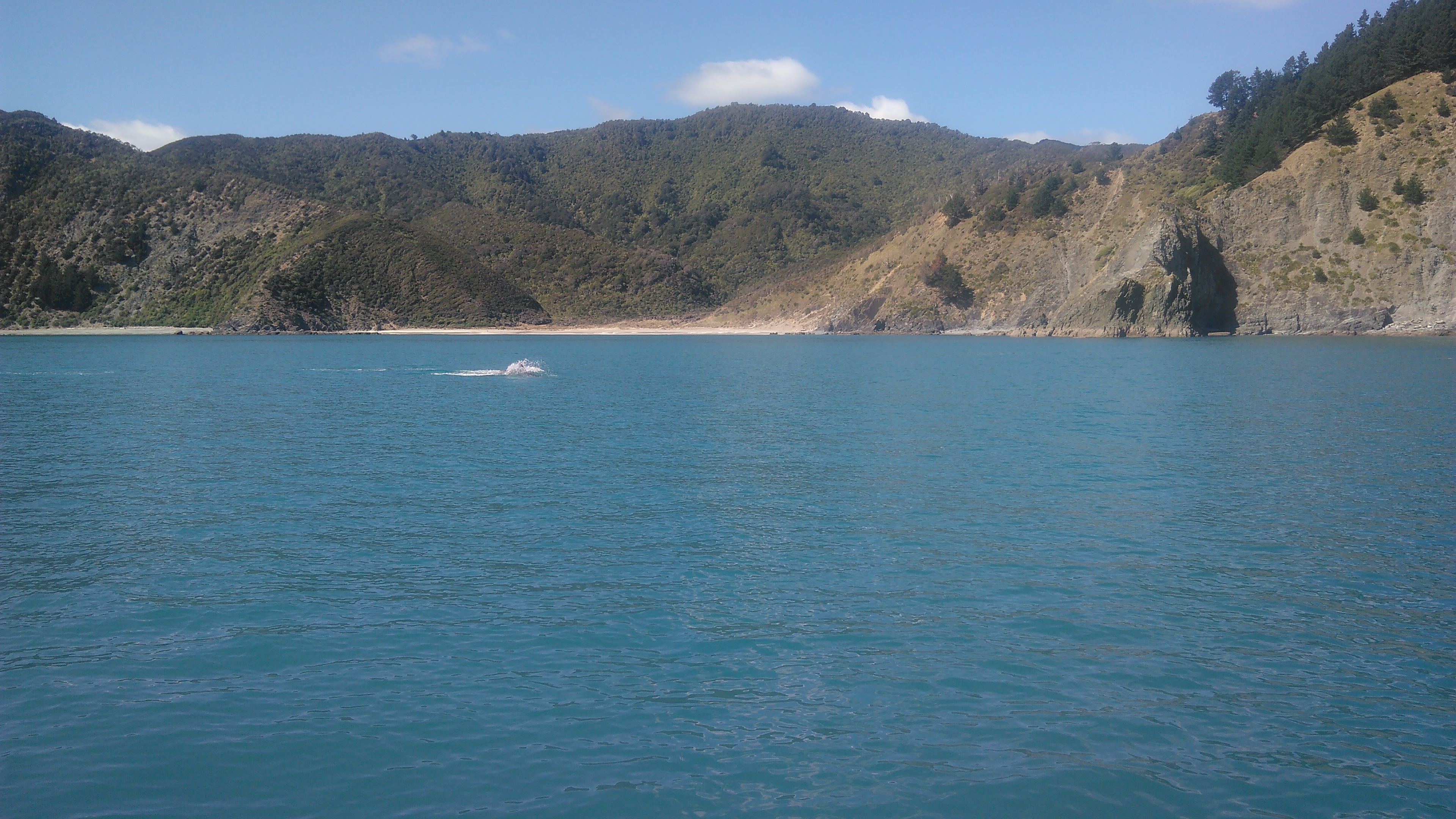 Name:  IMG_20210918_112132.jpg
Views: 265
Size:  2.60 MB