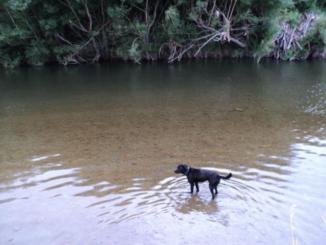 Name:  picture 2736.jpg
Views: 220
Size:  164.1 KB