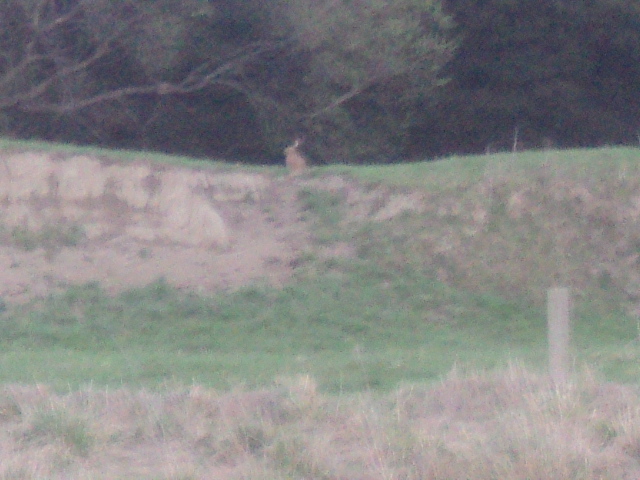 Name:  picture 01 4150.jpg
Views: 351
Size:  163.4 KB