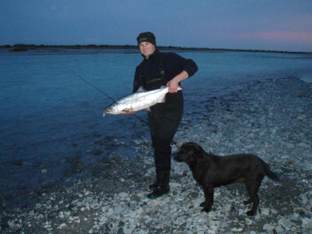 Name:  salmondec11005[1].jpg
Views: 670
Size:  39.6 KB