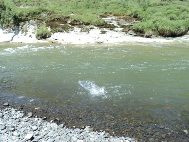 Name:  picture 2765.jpg
Views: 285
Size:  165.1 KB