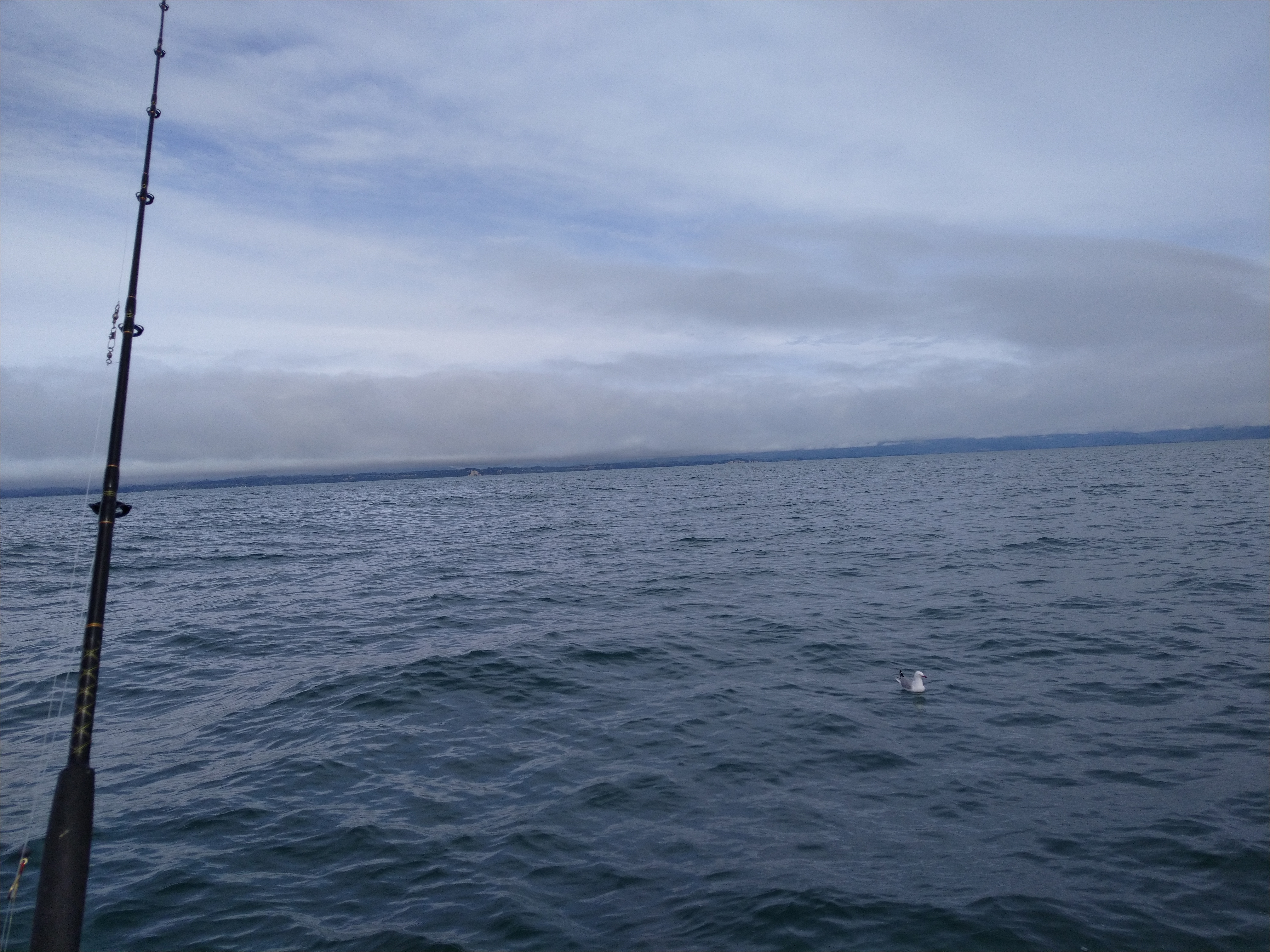 Name:  IMG_20211027_101153.jpg
Views: 210
Size:  5.71 MB