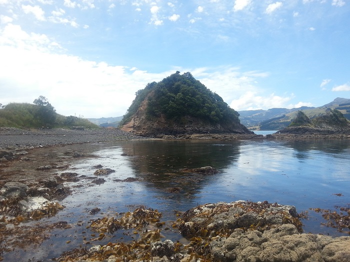 Name:  20140104_124830.jpg
Views: 357
Size:  156.7 KB