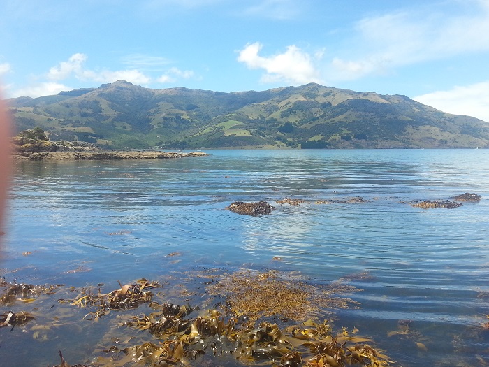 Name:  20140104_125215.jpg
Views: 336
Size:  162.5 KB