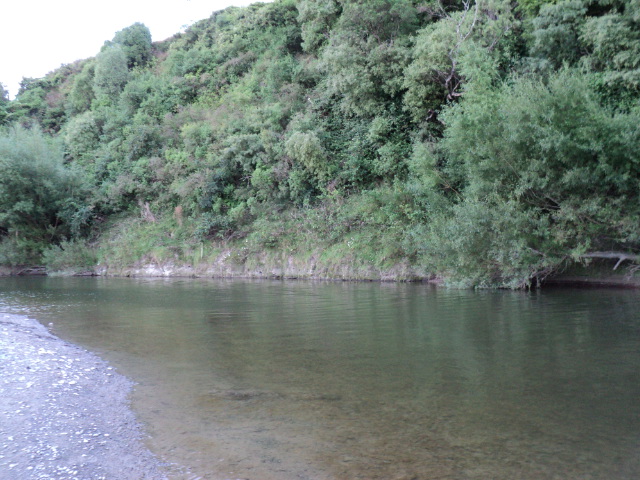 Name:  picture 2803.jpg
Views: 1051
Size:  165.1 KB