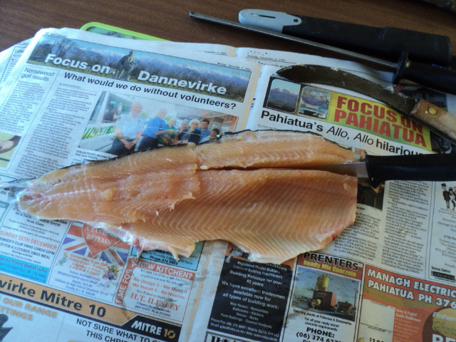 Name:  picture 2825.jpg
Views: 987
Size:  164.3 KB