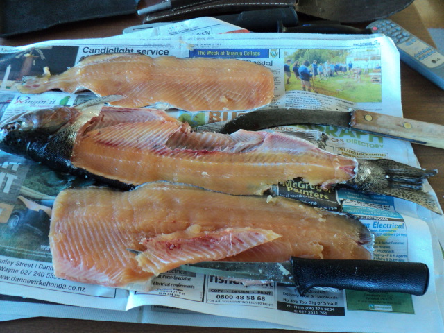 Name:  picture 2830.jpg
Views: 786
Size:  164.5 KB