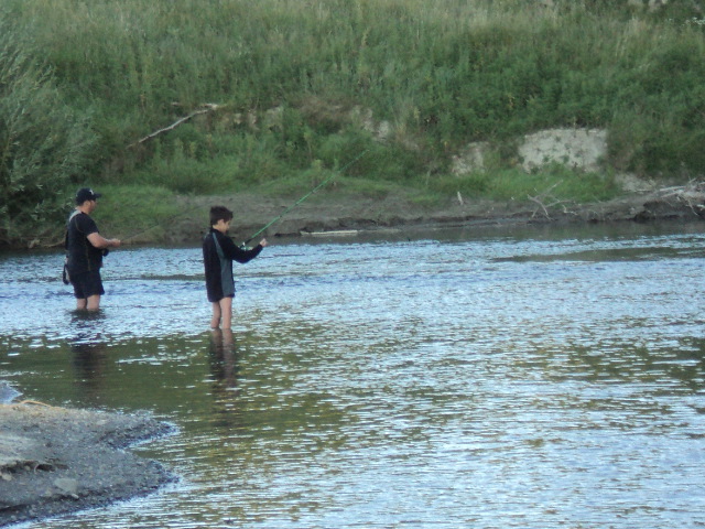 Name:  picture 2833.jpg
Views: 795
Size:  164.7 KB