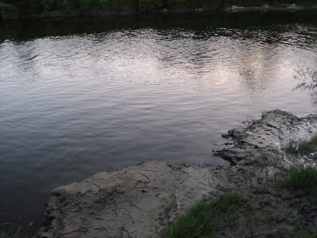 Name:  picture 2836.jpg
Views: 614
Size:  164.7 KB
