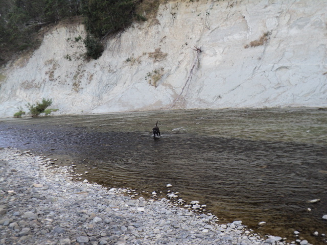 Name:  picture 2843.jpg
Views: 236
Size:  163.4 KB