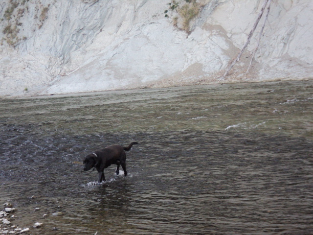 Name:  picture 2844.jpg
Views: 227
Size:  165.3 KB