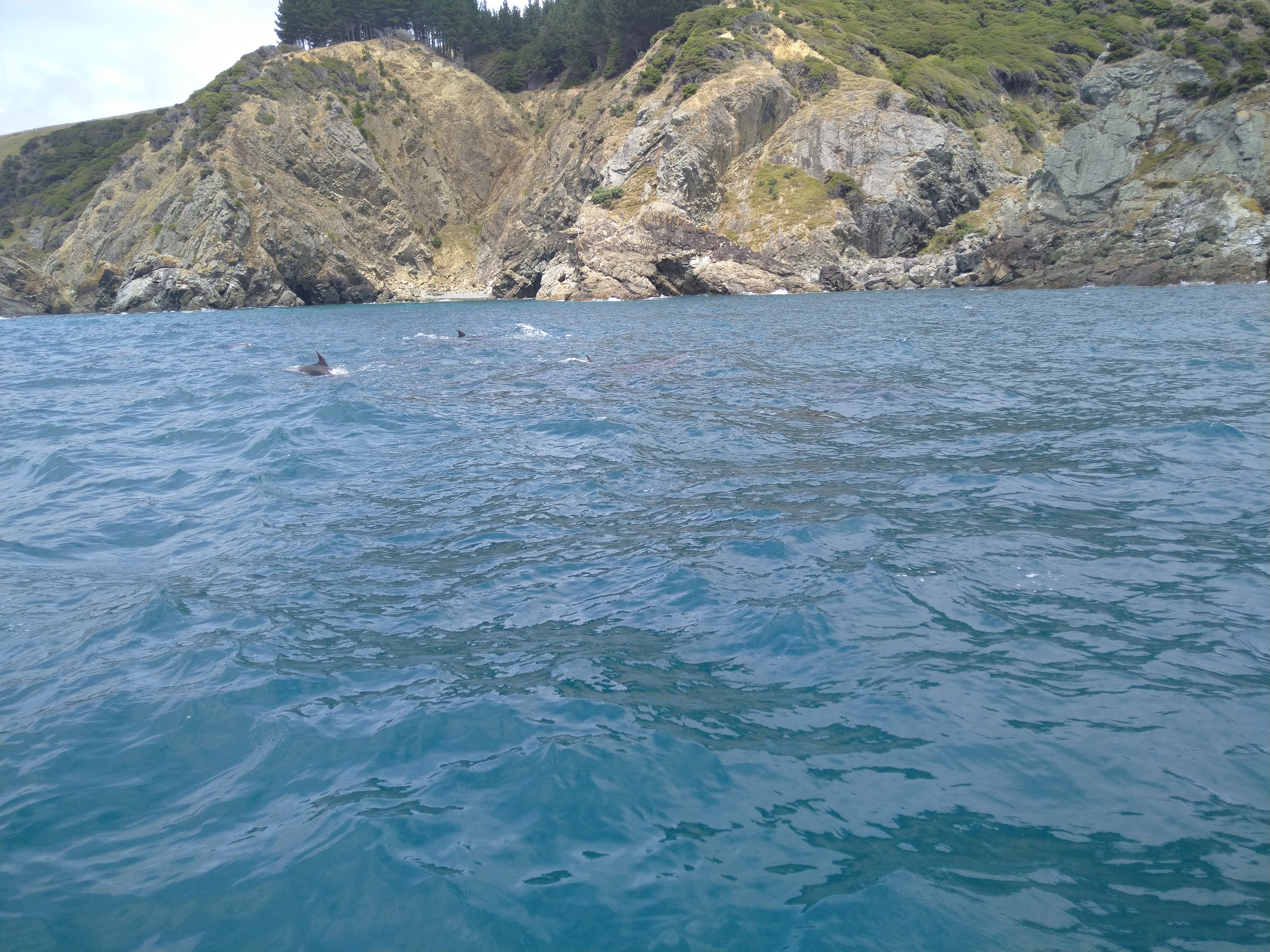 Name:  IMG_20220108_140949.jpg
Views: 269
Size:  7.37 MB