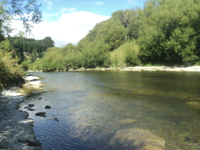 Name:  picture 01 4701.jpg
Views: 279
Size:  163.6 KB
