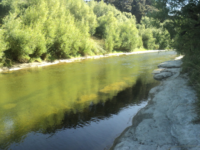 Name:  picture 01 4707.jpg
Views: 306
Size:  165.3 KB
