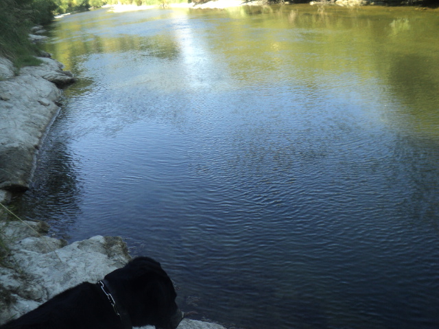 Name:  picture 01 4708.jpg
Views: 302
Size:  164.7 KB