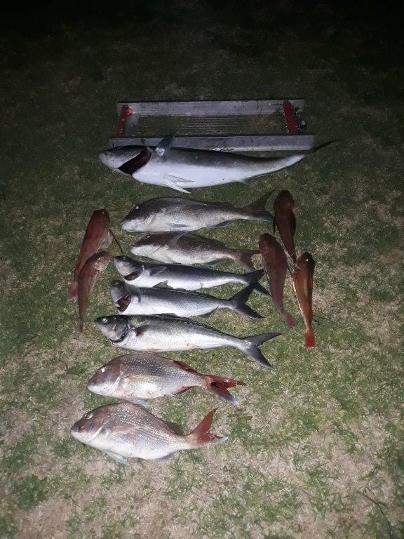 Name:  Kontiki Kingfish.jpg
Views: 221
Size:  92.0 KB