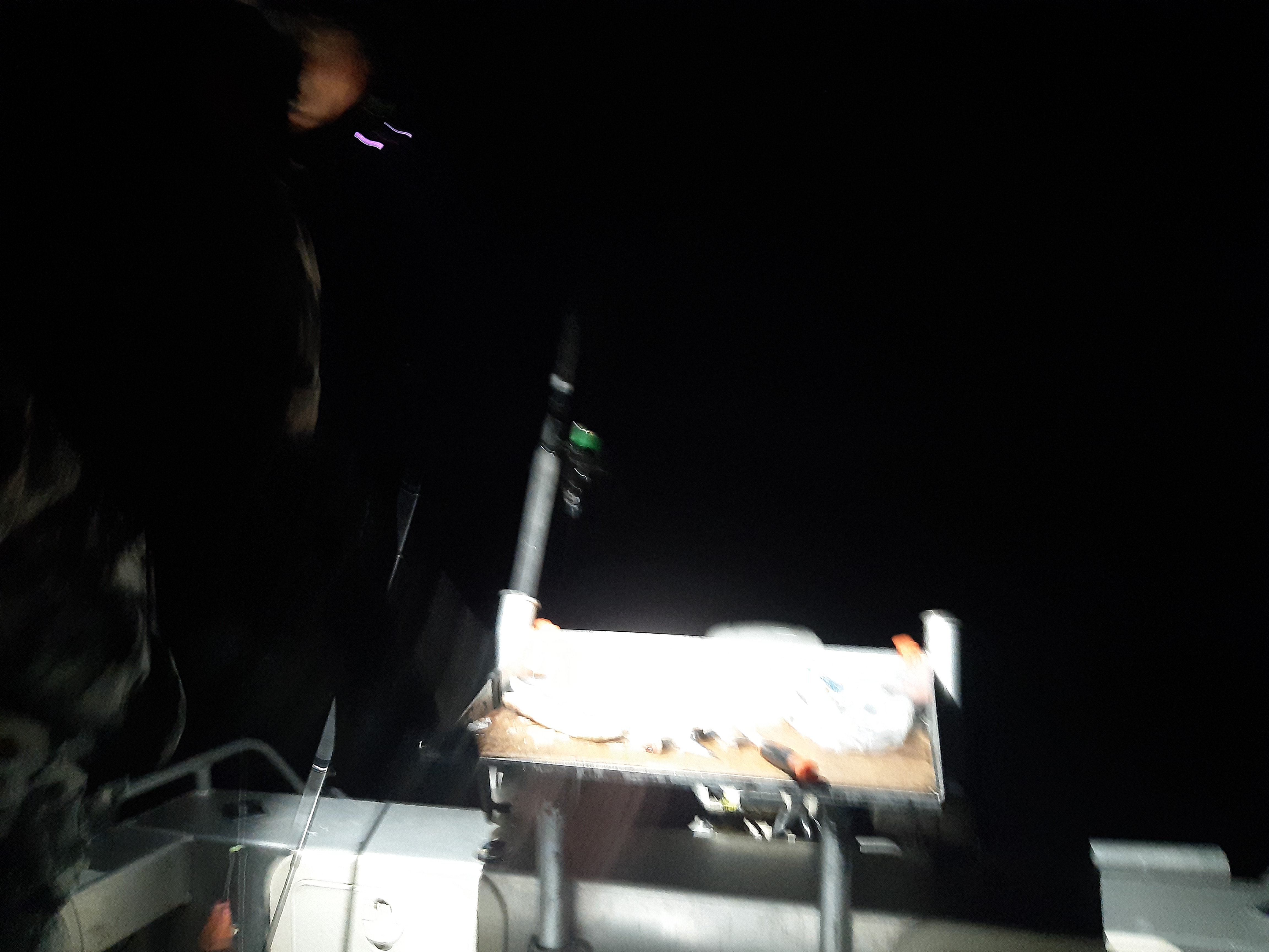 Name:  20220122_050540.jpg
Views: 244
Size:  3.95 MB