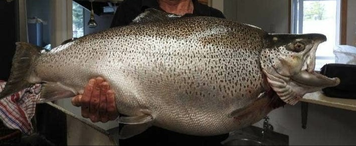 Name:  20220124_084741.jpg
Views: 268
Size:  76.9 KB