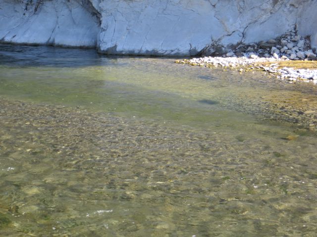 Name:  trout3.jpg
Views: 225
Size:  62.1 KB