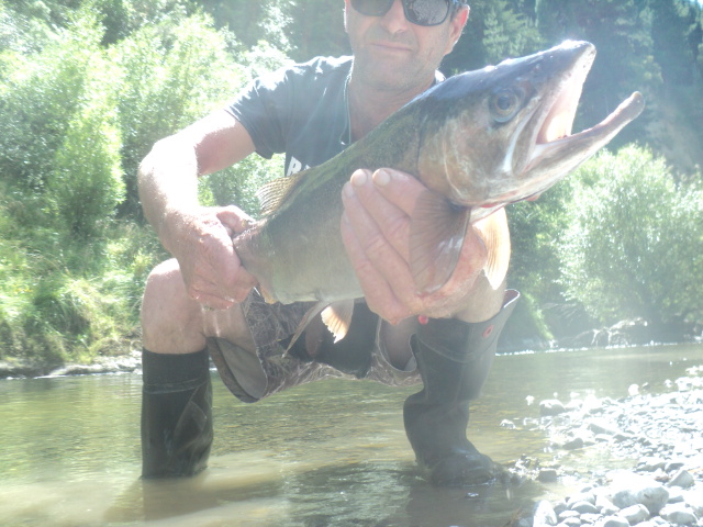 Name:  picture 01 4761.jpg
Views: 221
Size:  165.1 KB