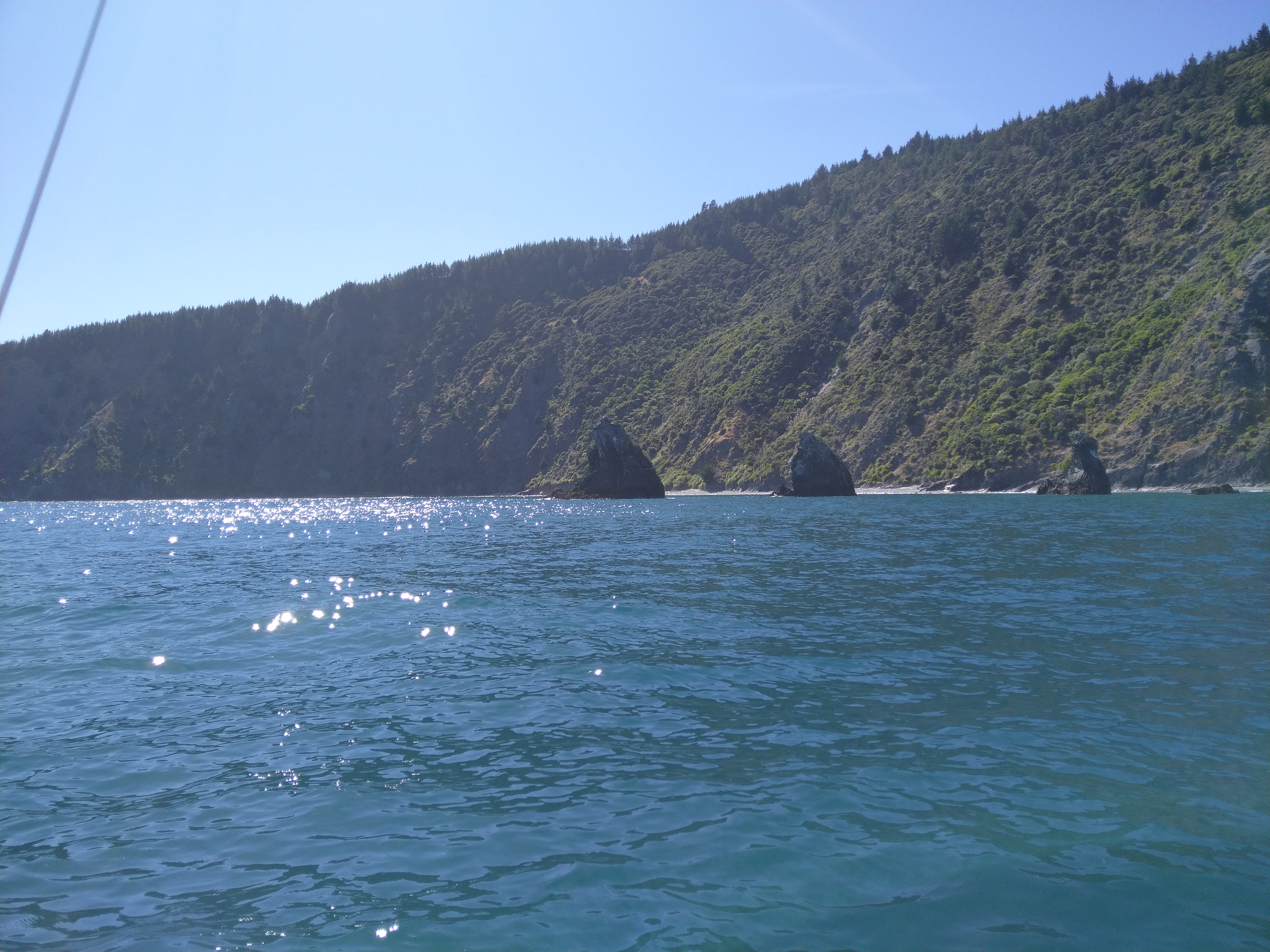 Name:  IMG_20220130_104447.jpg
Views: 260
Size:  6.46 MB