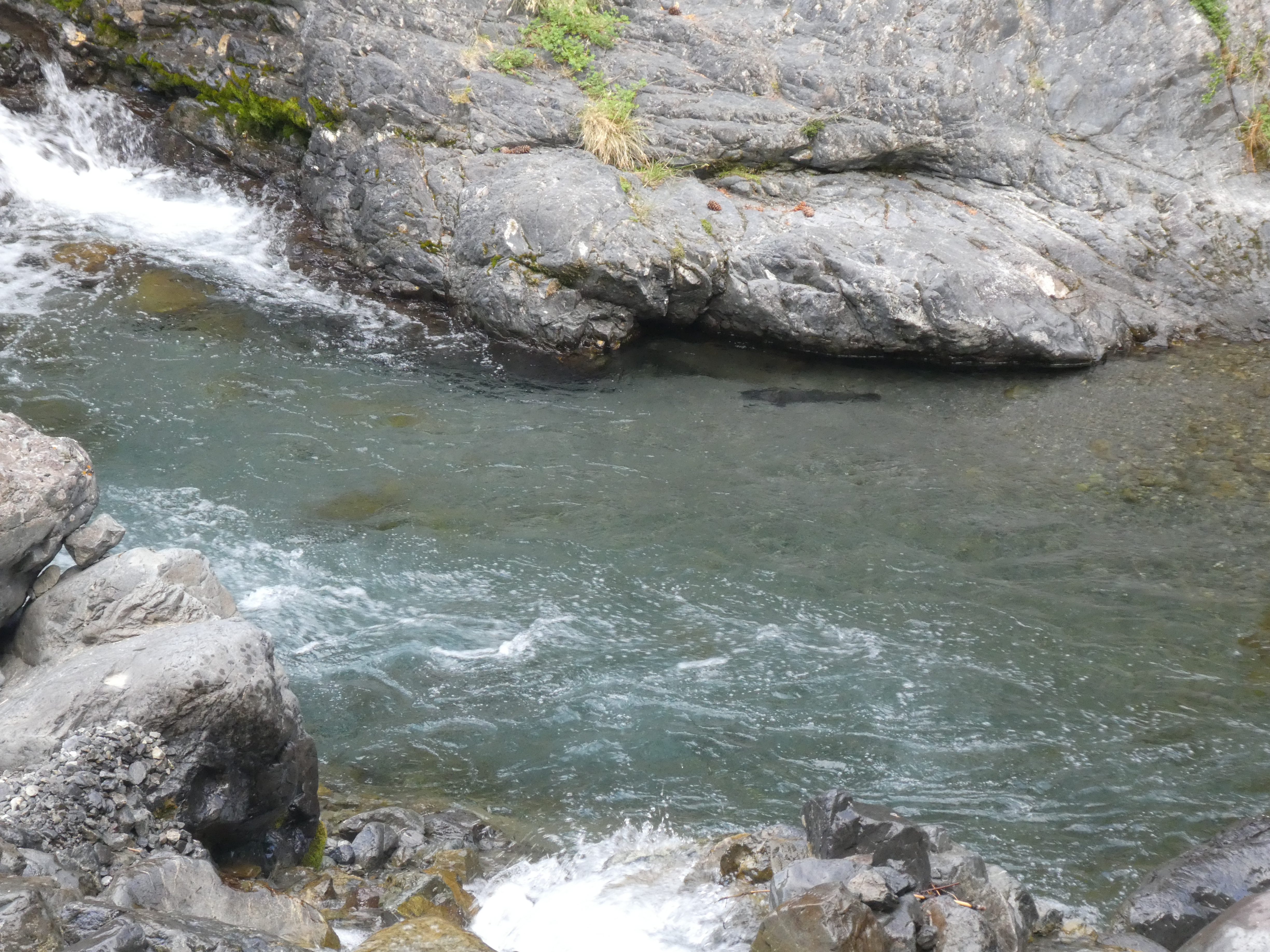 Name:  P1020749.JPG
Views: 287
Size:  9.26 MB