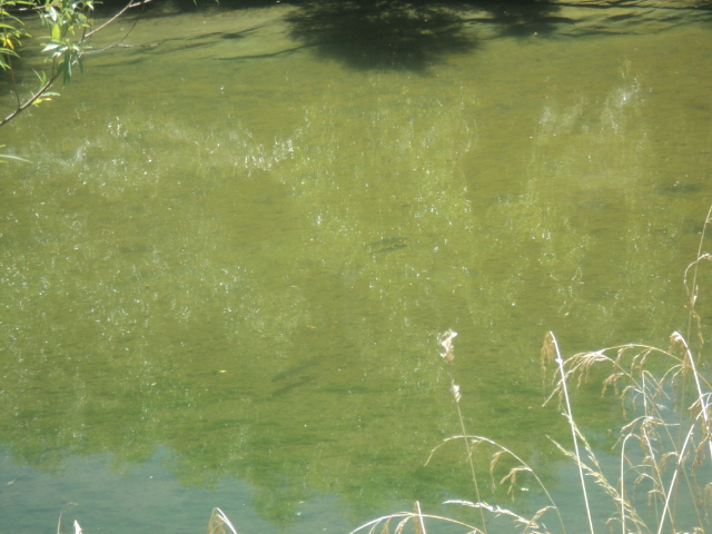 Name:  picture 01 4804.jpg
Views: 156
Size:  164.0 KB