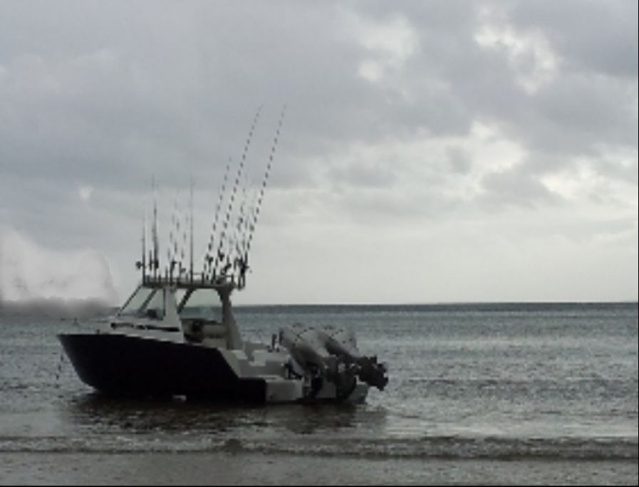 Name:  Bach Big Bitch Beached Bro(1)SML.jpg
Views: 412
Size:  45.5 KB