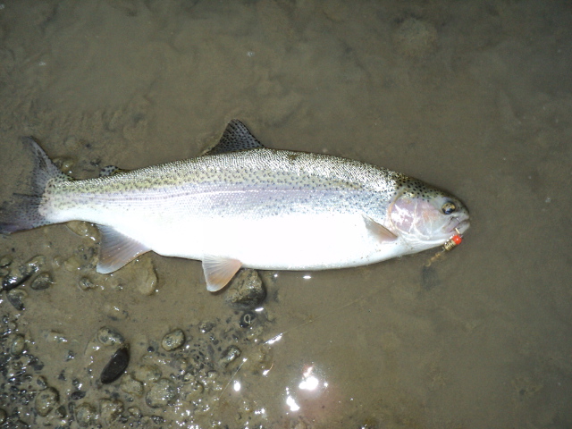 Name:  picture 2870.jpg
Views: 248
Size:  165.1 KB