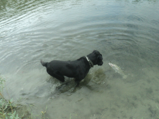 Name:  picture 01 4957.jpg
Views: 112
Size:  162.9 KB