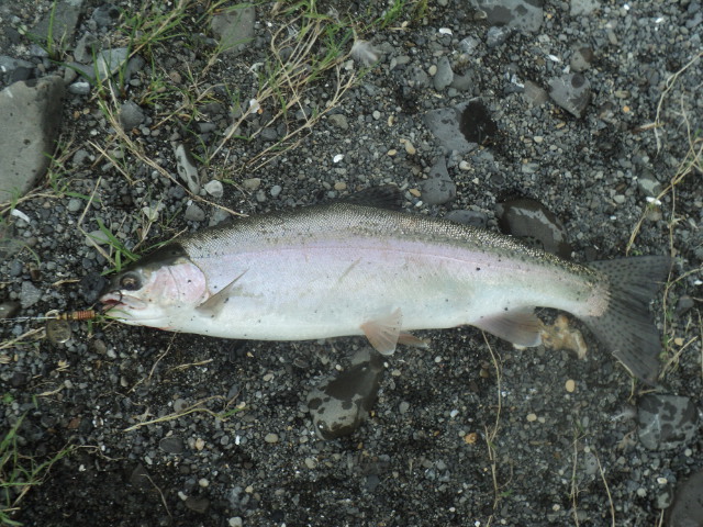 Name:  picture 01 4966.jpg
Views: 247
Size:  163.9 KB