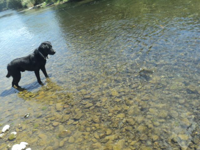Name:  picture 01 5013.jpg
Views: 185
Size:  165.3 KB
