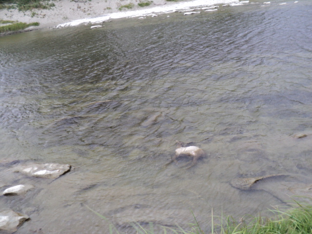 Name:  picture 2881.jpg
Views: 364
Size:  165.1 KB