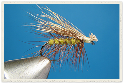 Name:  elk-hair-caddis.jpg
Views: 280
Size:  82.4 KB