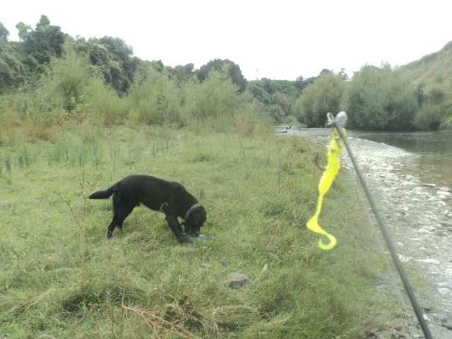 Name:  picture 01 5058.jpg
Views: 1398
Size:  164.8 KB
