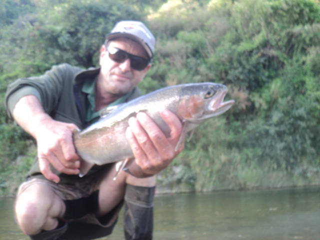 Name:  picture 01 4689.jpg
Views: 1416
Size:  160.5 KB