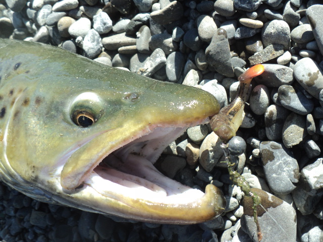 Name:  picture 01 661.jpg
Views: 1397
Size:  164.9 KB