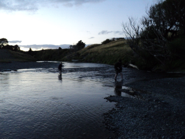 Name:  picture 2935.jpg
Views: 211
Size:  162.4 KB