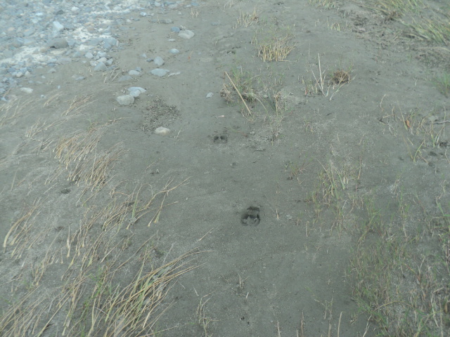 Name:  picture 01 5219.jpg
Views: 271
Size:  165.0 KB