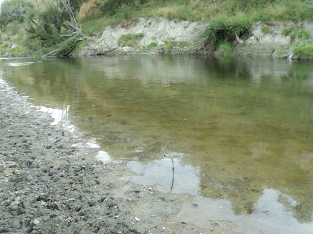 Name:  picture 2942.jpg
Views: 503
Size:  165.3 KB