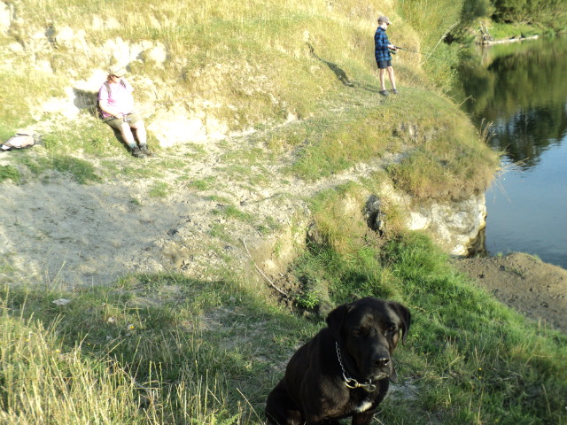 Name:  picture 2944.jpg
Views: 581
Size:  165.0 KB
