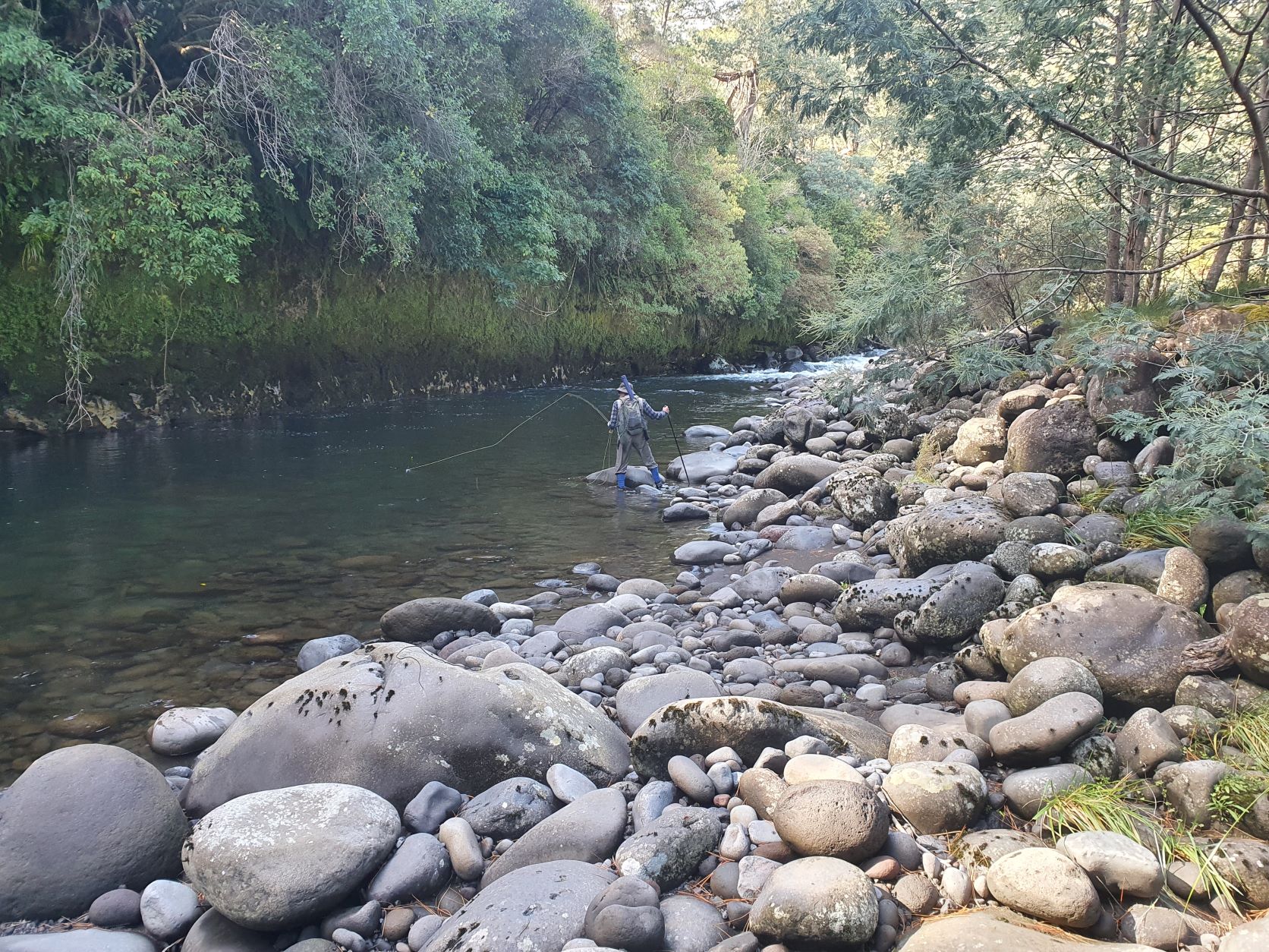 Name:  river2.jpg
Views: 177
Size:  633.3 KB