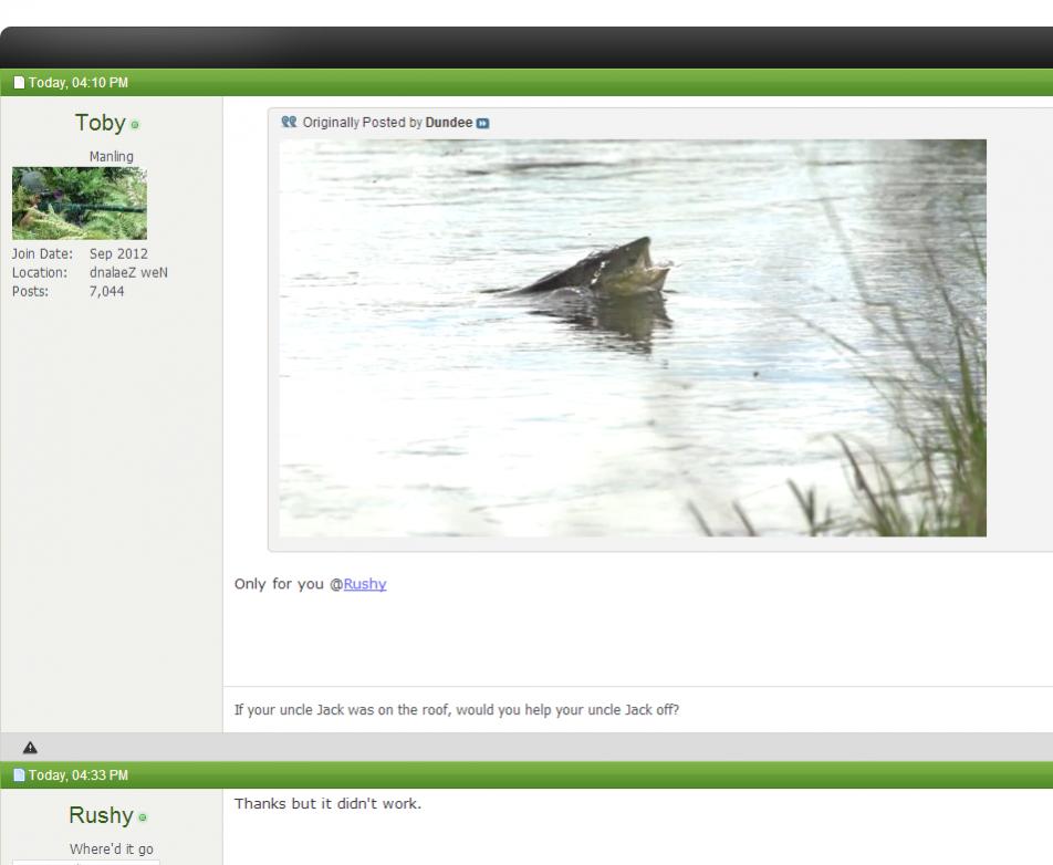 Name:  Untitled.jpg
Views: 311
Size:  63.6 KB