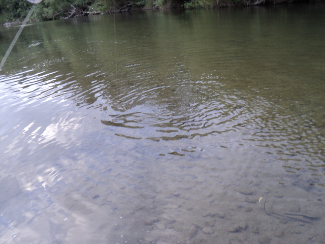 Name:  picture 3014.jpg
Views: 162
Size:  164.9 KB