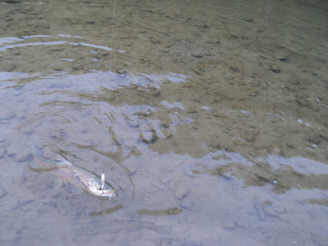 Name:  picture 3016.jpg
Views: 162
Size:  165.1 KB